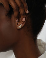 Climber Leaf Earrings