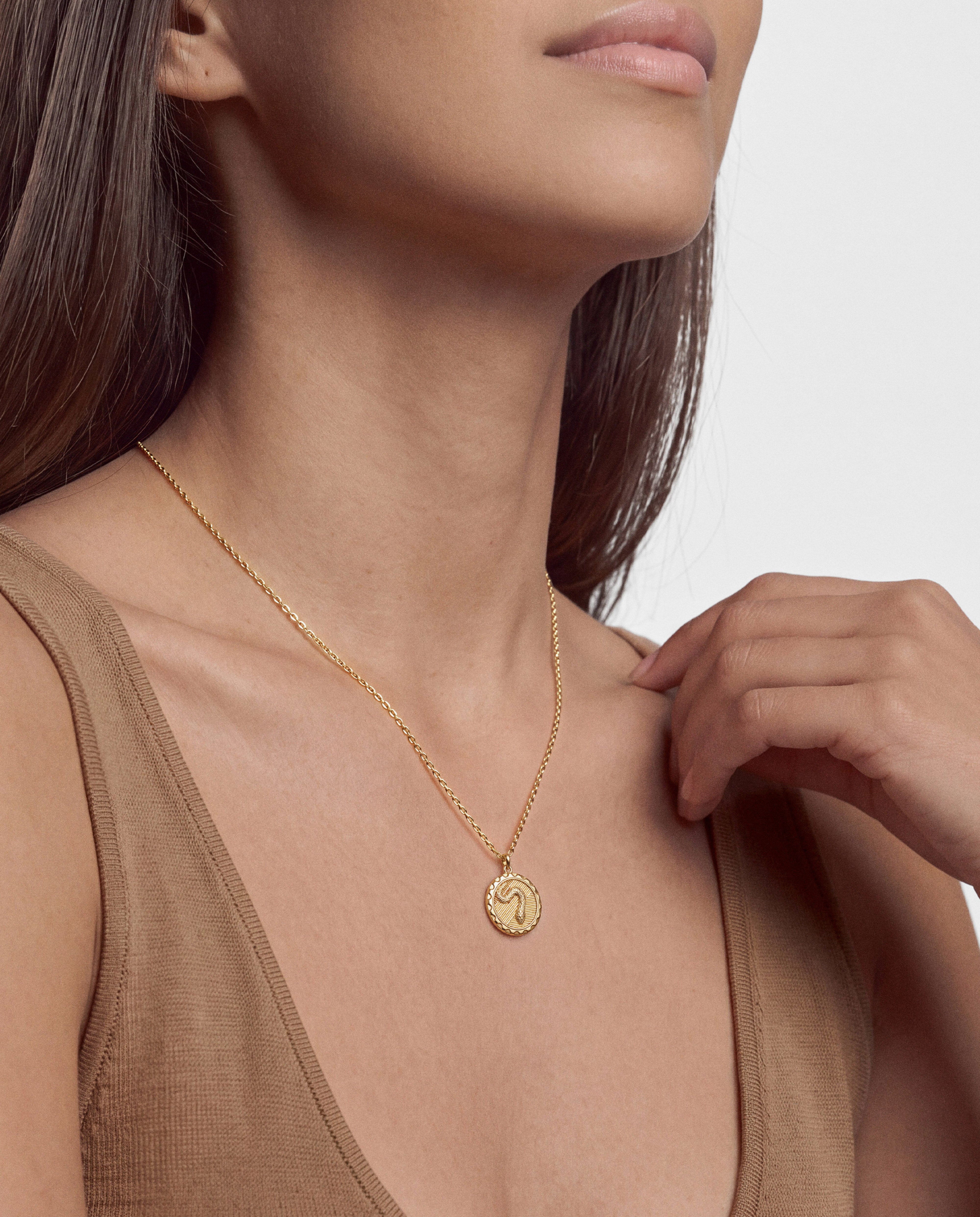 Snake Coin Necklace